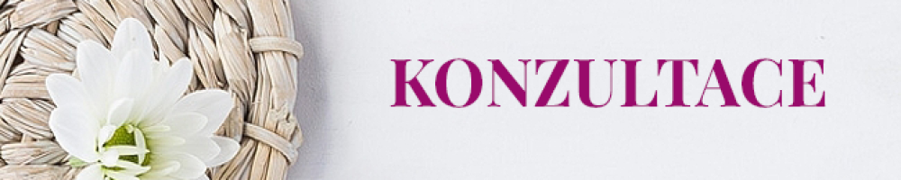 KONZULTACE