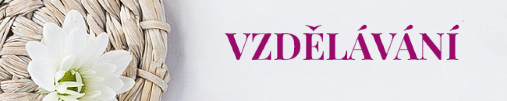 VZDELAVANI-1